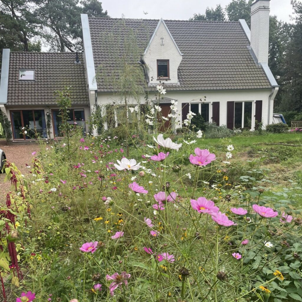 Tuin B&B